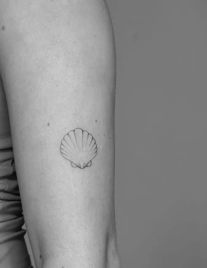 Small seashell outline tattoo with delicate line work by Chelsea.Q